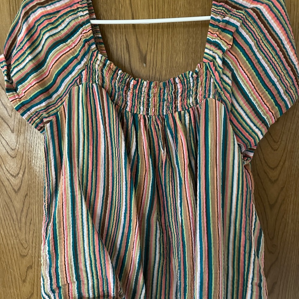 Blue and Brown Smocked Blouse with Cap Sleeves